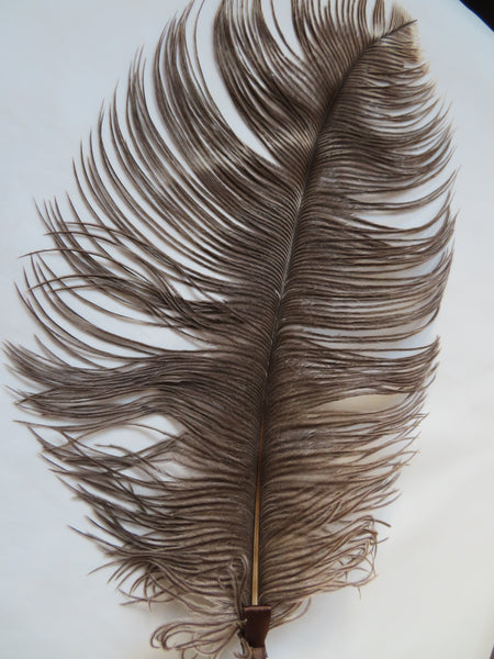 Chocolate Mocha Brown Regency Ostrich Feather Sprig