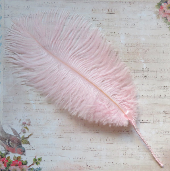 Pale Pink Regency Ostrich Feather Sprig