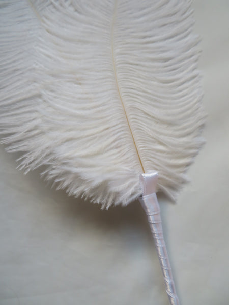 Ivory White Regency Ostrich Feather Sprig