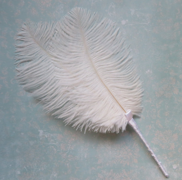 A large white ostrich feather with a pale pink ribbon at the base, laid diagonally on a textured light blue background.