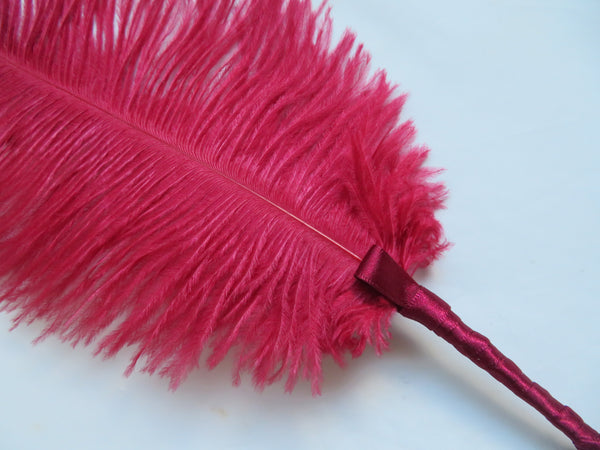 Burgundy Regency Ostrich Feather Sprig