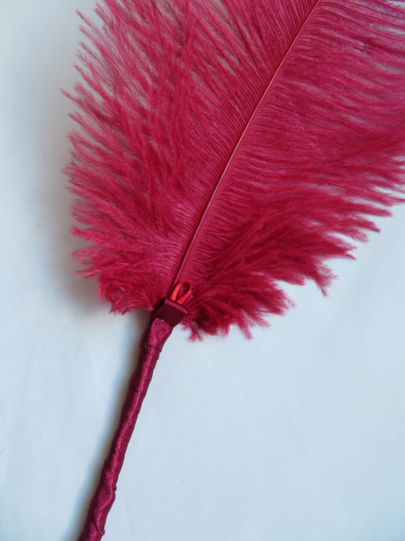 Burgundy Regency Ostrich Feather Sprig
